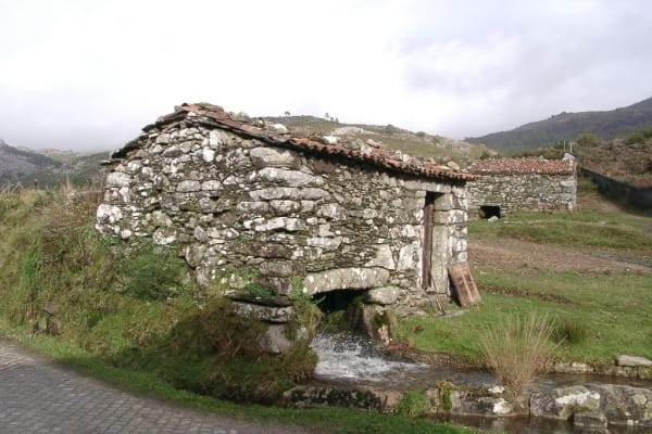 Foto 1 da atividade Galeria de Fotos