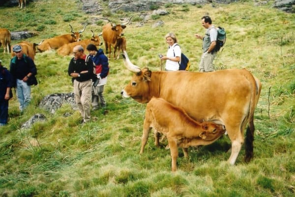 Foto 8 da atividade Galeria de Fotos