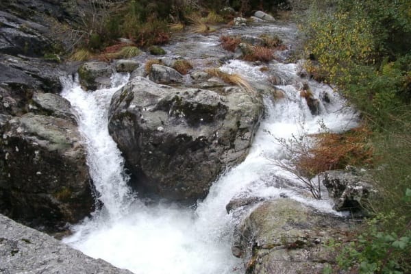 Foto 53 da atividade Galeria de Fotos