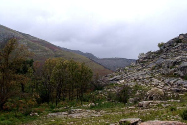 Foto 45 da atividade Galeria de Fotos