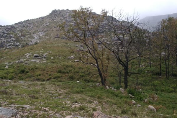 Foto 22 da atividade Galeria de Fotos