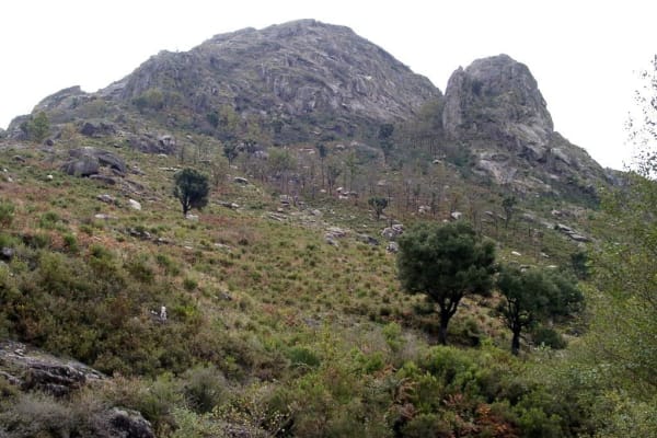 Foto 7 da atividade Galeria de Fotos