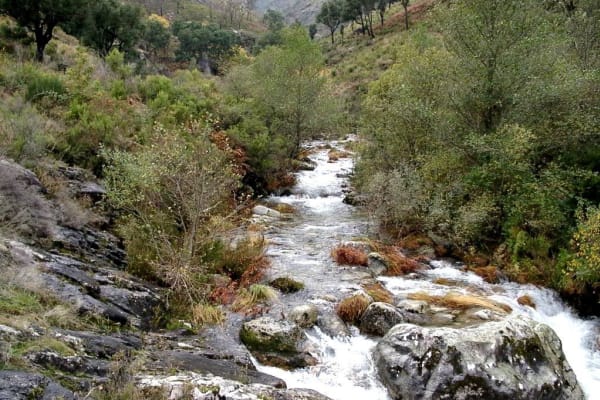 Foto 8 da atividade Galeria de Fotos