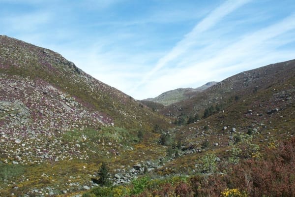 Foto 17 da atividade Galeria de Fotos