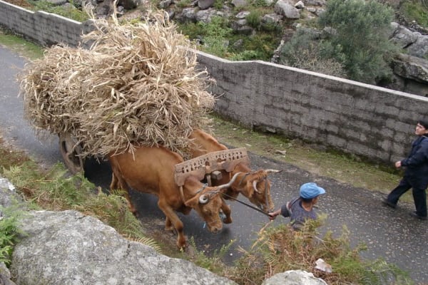 Foto 14 da atividade Galeria de Fotos