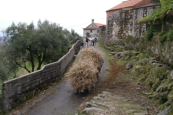 Foto 13 da atividade Galeria de Fotos