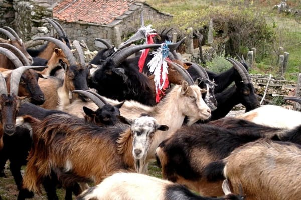 Foto 9 da atividade Galeria de Fotos