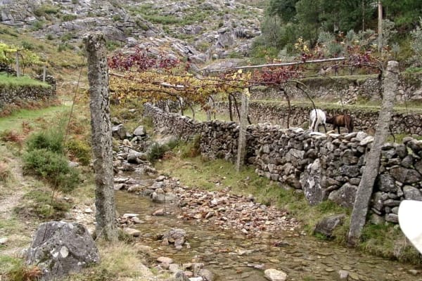 Foto 4 da atividade Galeria de Fotos