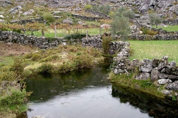 Foto 3 da atividade Galeria de Fotos