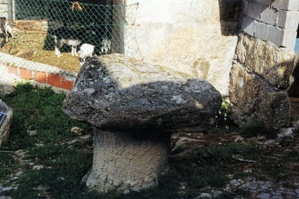 Foto 23 da atividade Galeria de Fotos