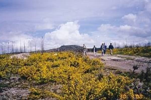 Foto 8 da atividade Galeria de Fotos