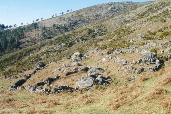 Foto 4 da atividade Galeria de Fotos