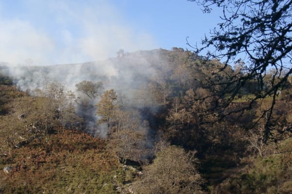 Foto 66 da atividade Galeria de Fotos