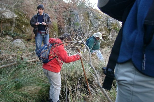 Foto 131 da atividade Galeria de Fotos