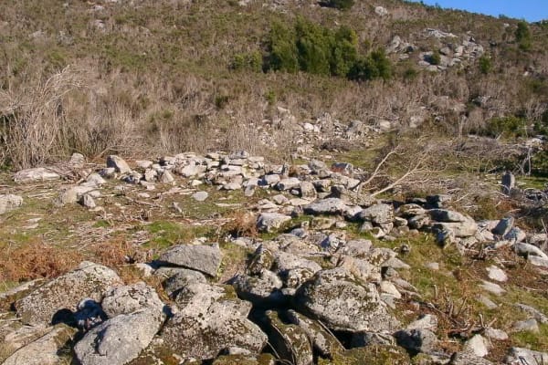 Foto 69 da atividade Galeria de Fotos