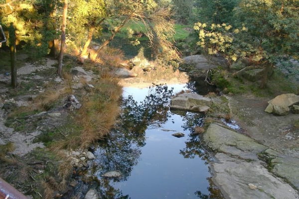 Foto 52 da atividade Galeria de Fotos