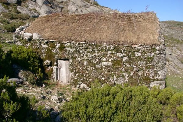 Foto 51 da atividade Galeria de Fotos