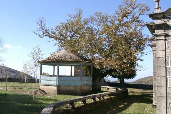 Foto 27 da atividade Galeria de Fotos