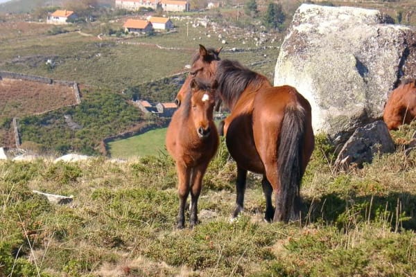 Foto 15 da atividade Galeria de Fotos