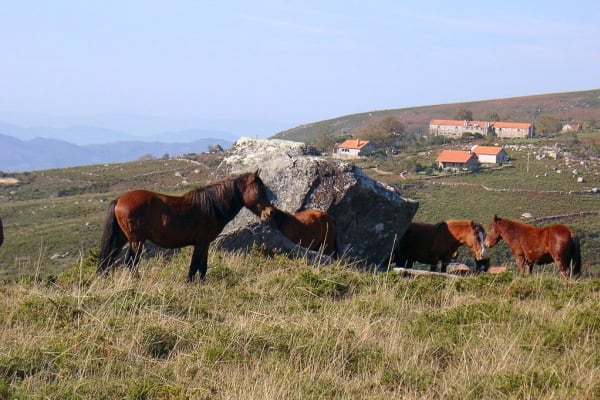 Foto 8 da atividade Galeria de Fotos