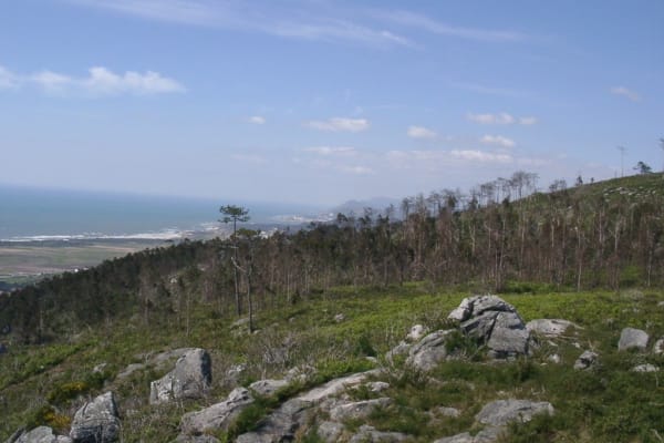 Foto 67 da atividade Galeria de Fotos