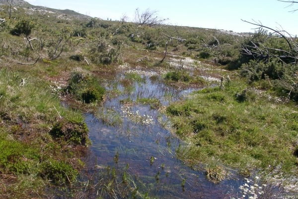 Foto 14 da atividade Galeria de Fotos