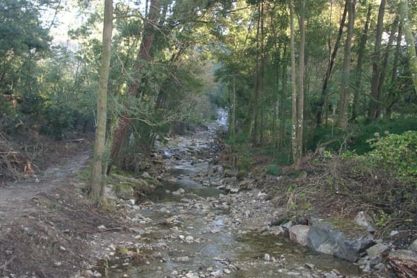 Foto 47 da atividade Galeria de Fotos