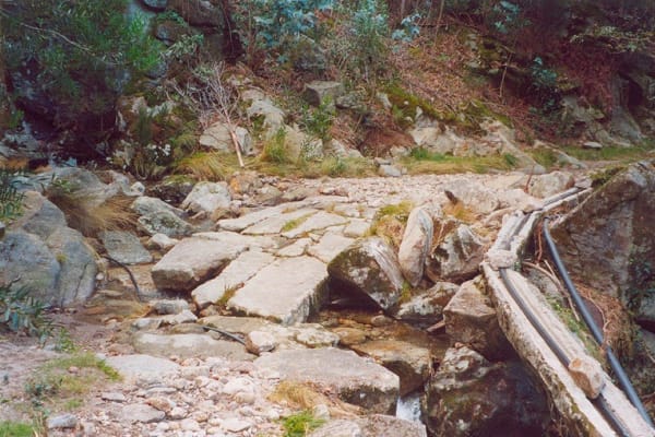 Foto 46 da atividade Galeria de Fotos