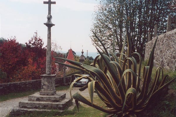 Foto 41 da atividade Galeria de Fotos