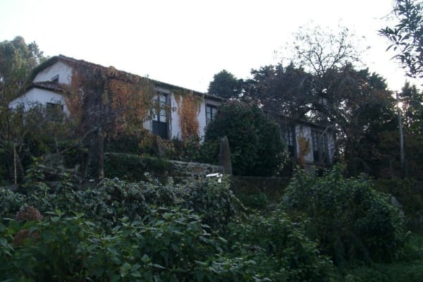 Foto 40 da atividade Galeria de Fotos