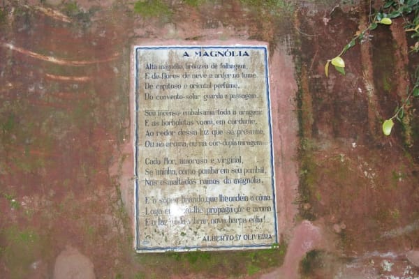 Foto 35 da atividade Galeria de Fotos