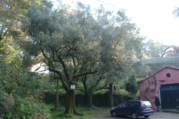 Foto 34 da atividade Galeria de Fotos