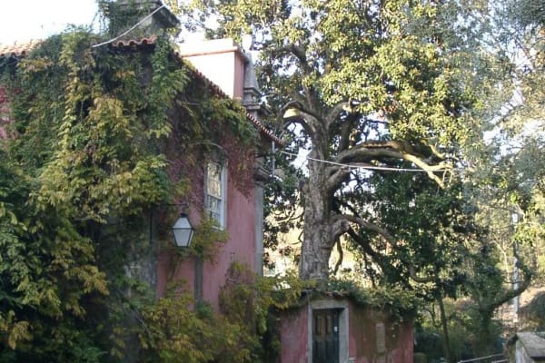 Foto 23 da atividade Galeria de Fotos