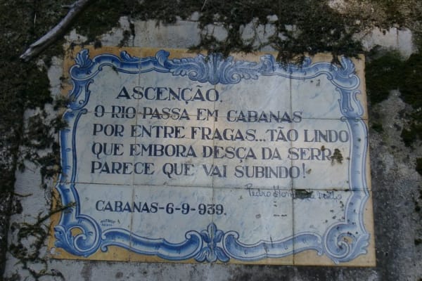 Foto 17 da atividade Galeria de Fotos