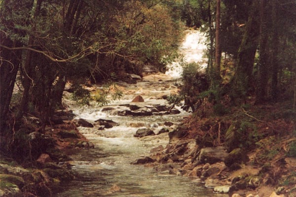 Foto 6 da atividade Galeria de Fotos