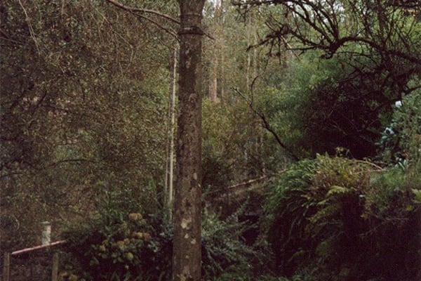 Foto 4 da atividade Galeria de Fotos