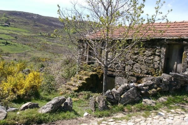 Foto 80 da atividade Galeria de Fotos