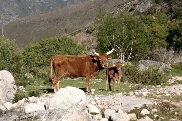 Foto 50 da atividade Galeria de Fotos