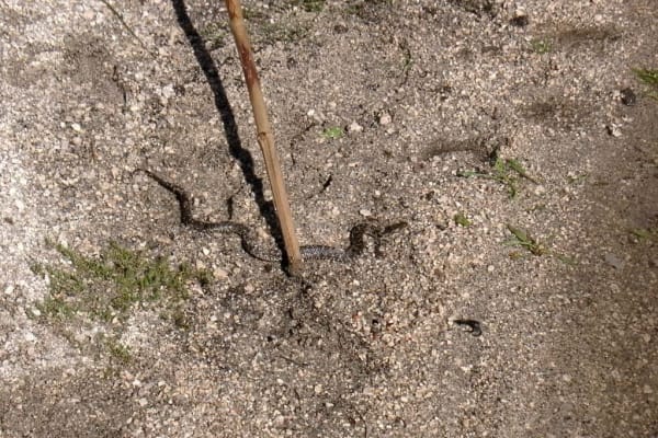 Foto 80 da atividade Galeria de Fotos