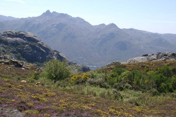 Foto 79 da atividade Galeria de Fotos