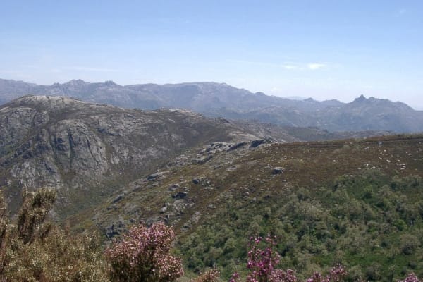 Foto 71 da atividade Galeria de Fotos