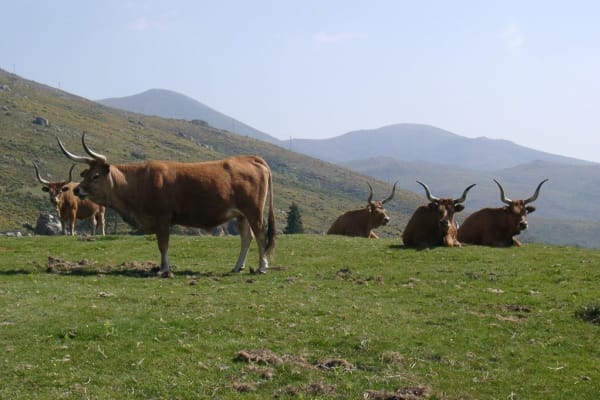 Foto 47 da atividade Galeria de Fotos