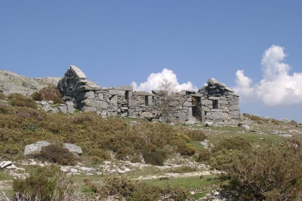 Foto 42 da atividade Galeria de Fotos