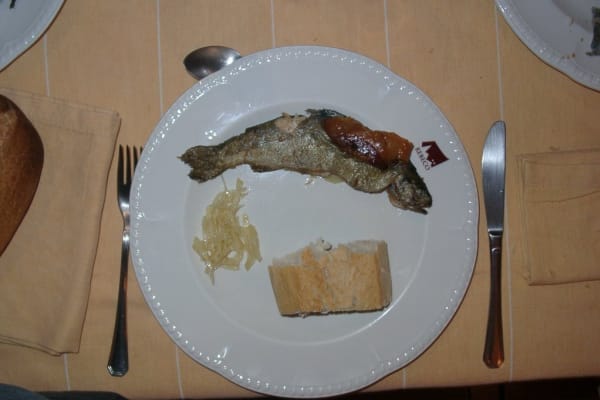 Foto 21 da atividade Galeria de Fotos