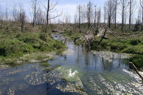 Foto 38 da atividade Galeria de Fotos