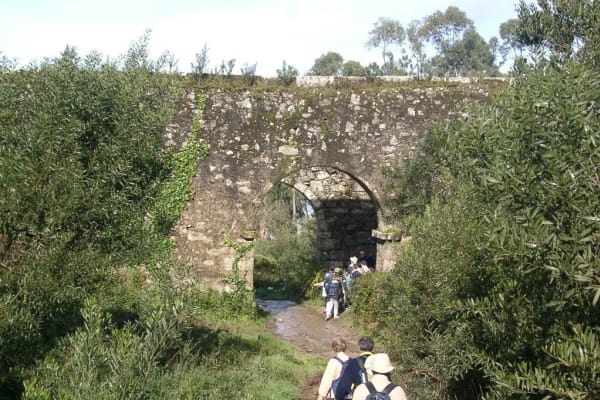 Foto 34 da atividade Galeria de Fotos