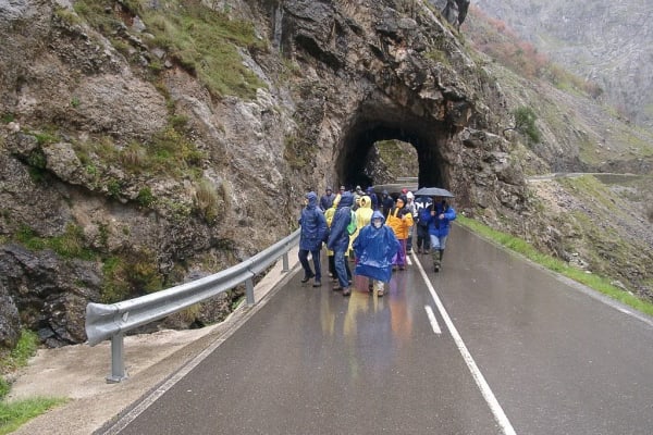 Foto 120 da atividade Galeria de Fotos