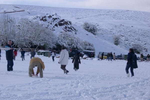 Foto 81 da atividade Galeria de Fotos