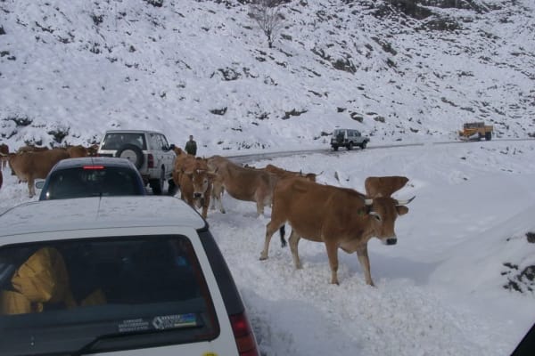 Foto 65 da atividade Galeria de Fotos