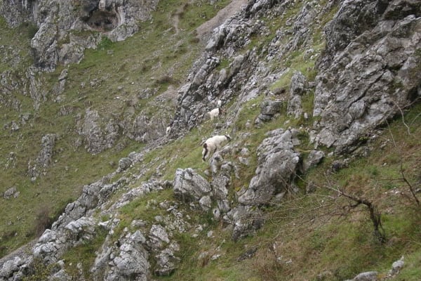 Foto 62 da atividade Galeria de Fotos